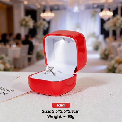 10PCS Jewelry Organizer Box with LED Light, Locking plastic Case for ring