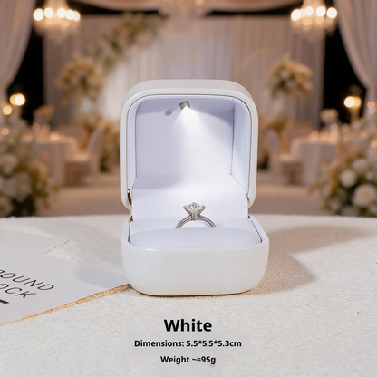 10PCS Jewelry Organizer Box with LED Light, Locking plastic Case for ring