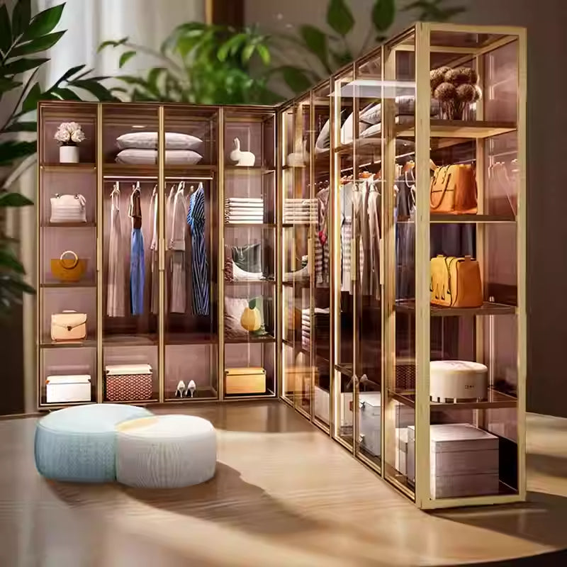 High-end custom aluminum alloy glass wardrobe modern simple cloakroom wardrobe with light luxury jewelry jewelry showcase