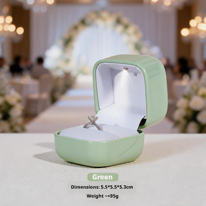 10PCS Jewelry Organizer Box with LED Light, Locking plastic Case for ring