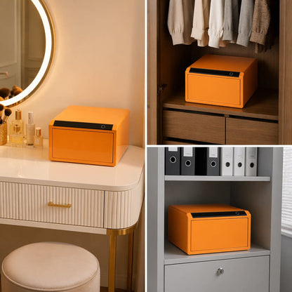 Jewelry Storage Safe, All-Steel Security Cabinet, Fingerprint Passcode Lock Box