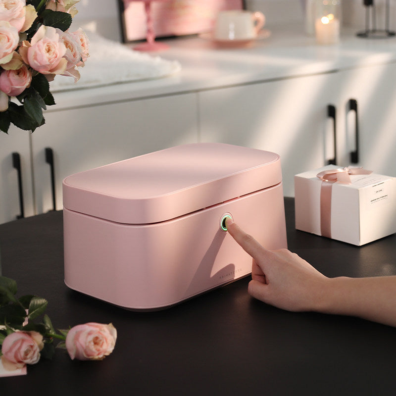Fingerprint Lock Pink Jewelry Box, Biometric Safe Organizer Case, Smart Storage, Gift for Her