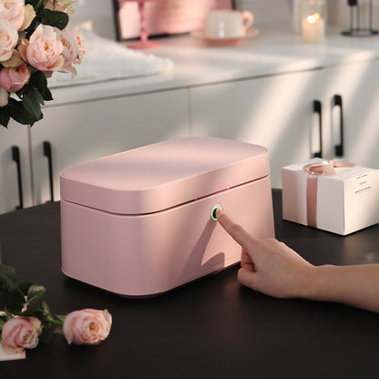 Fingerprint Lock Pink Jewelry Box, Biometric Safe Organizer Case, Smart Storage, Gift for Her