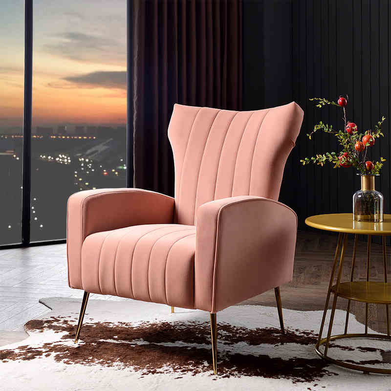 American light luxury tiger chair simple modern leisure Nordic living room bedroom small apartment fabric sofa complete