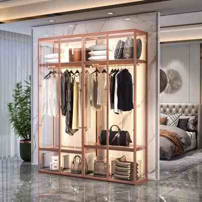High-end custom aluminum alloy glass wardrobe modern simple cloakroom wardrobe with light luxury jewelry jewelry showcase