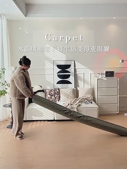 Cream wind carpet living room light luxury senior sense home sofa floor mat bedroom waterproof wash free wipe